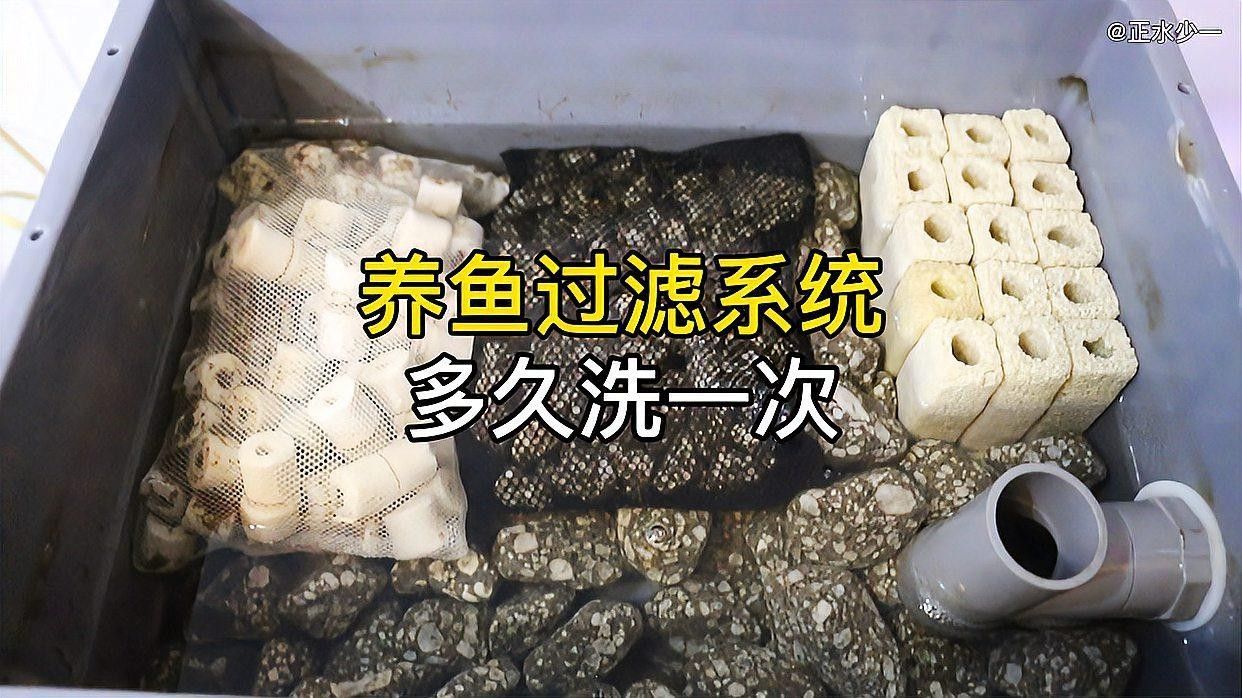 龍魚魚缸需要什么樣的過濾系統(tǒng)：適合龍魚的魚缸過濾系統(tǒng)應(yīng)具備以下特點以下特點