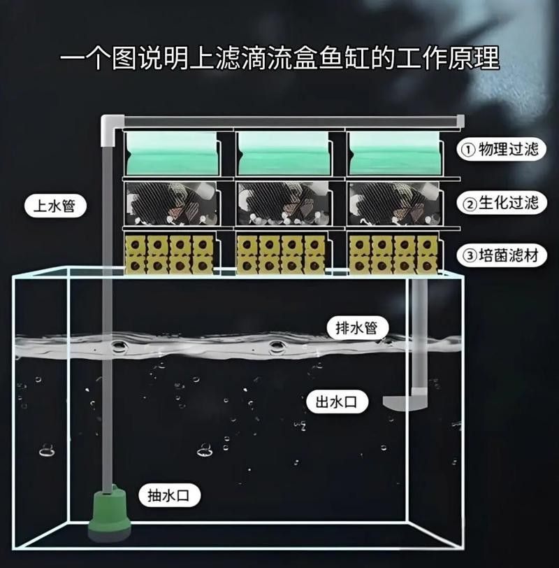 龍魚魚缸需要什么樣的過濾系統(tǒng)：適合龍魚的魚缸過濾系統(tǒng)應(yīng)具備以下特點以下特點