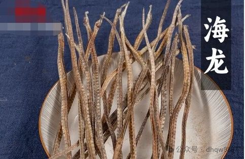 海龍還有哪些藥用功效？：海龍的功效與作用