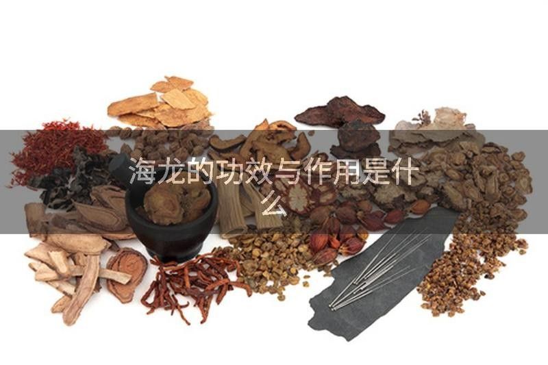 海龍還有哪些藥用功效？：海龍的功效與作用