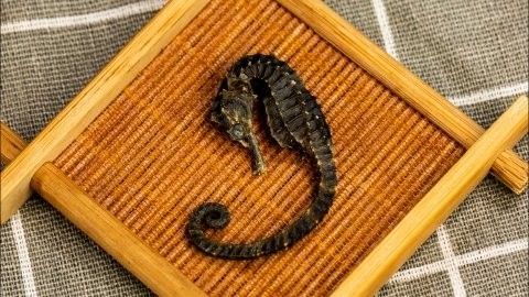海龍還有哪些藥用功效？：海龍的功效與作用