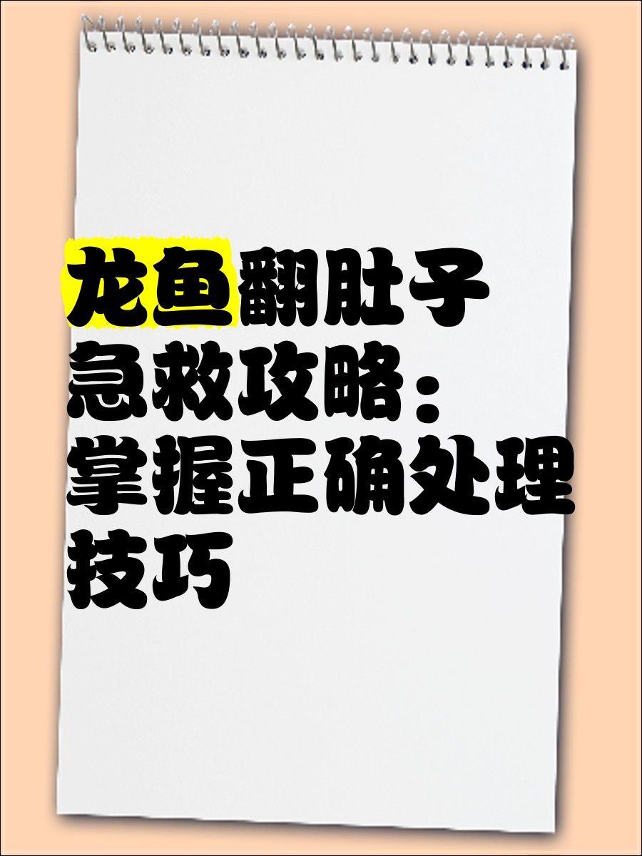 龍魚肚子鼓脹會自行恢復嗎：龍魚肚子鼓脹怎么辦 龍魚肚子鼓脹會自行恢復嗎：龍魚肚子鼓脹怎么辦 龍魚百科 第4張