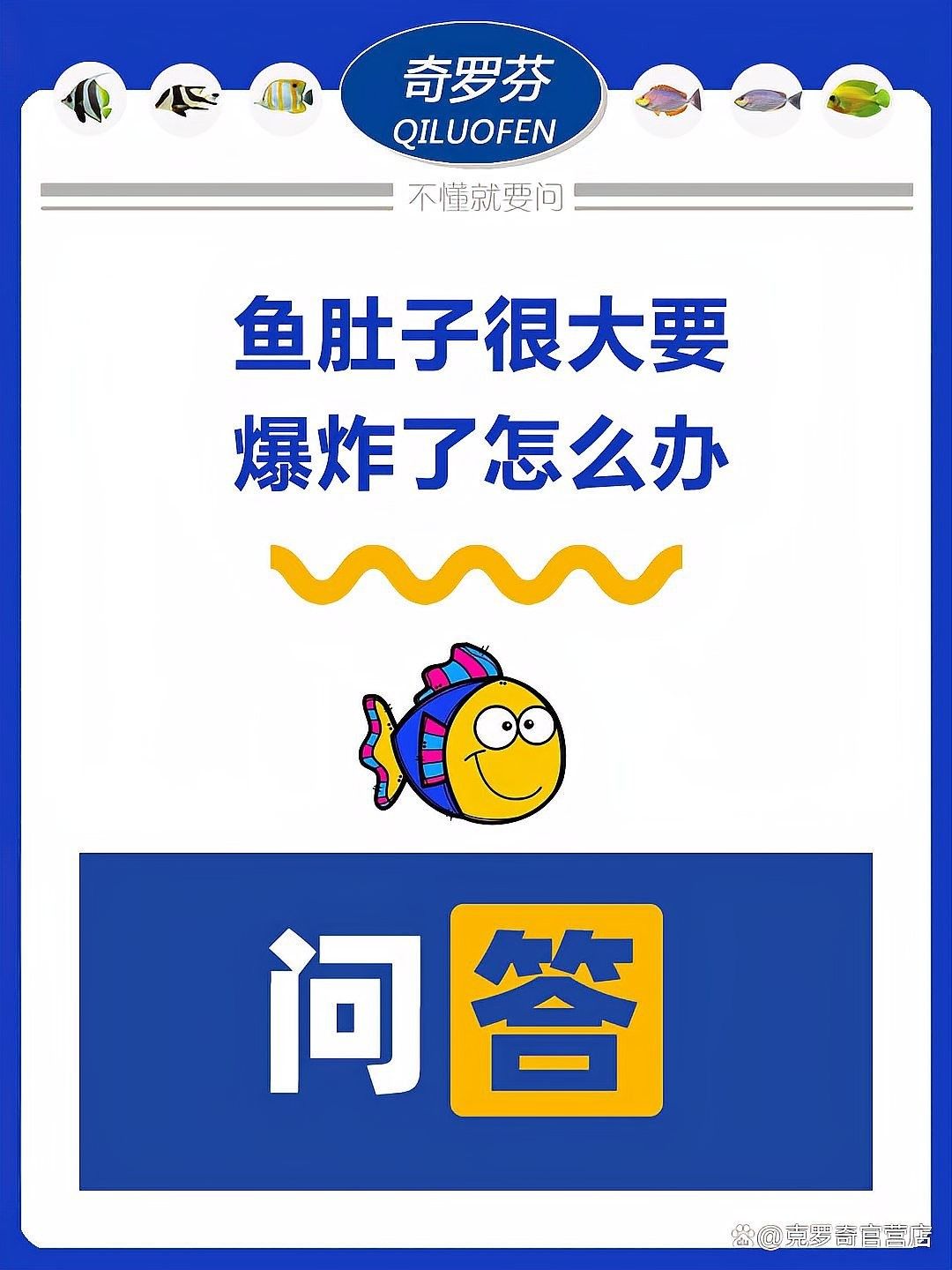 龍魚肚子鼓脹會自行恢復嗎：龍魚肚子鼓脹怎么辦 龍魚肚子鼓脹會自行恢復嗎：龍魚肚子鼓脹怎么辦 龍魚百科 第3張