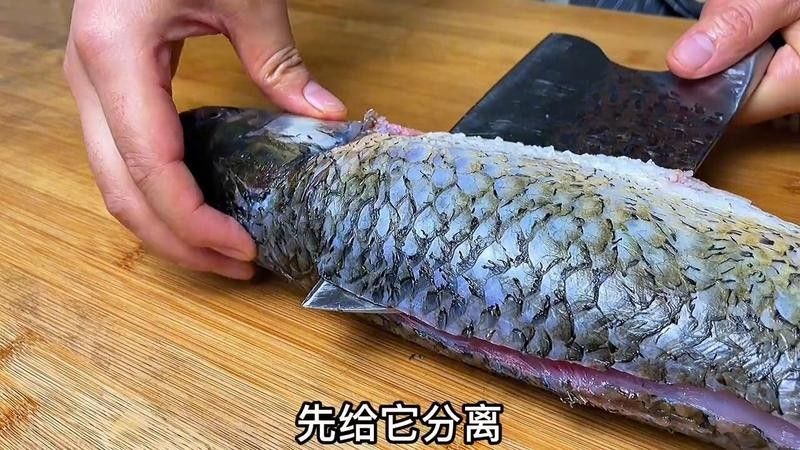 如何處理金龍魚的硬鱗和尖刺：如何降低觀賞魚的硬鱗和尖刺問題