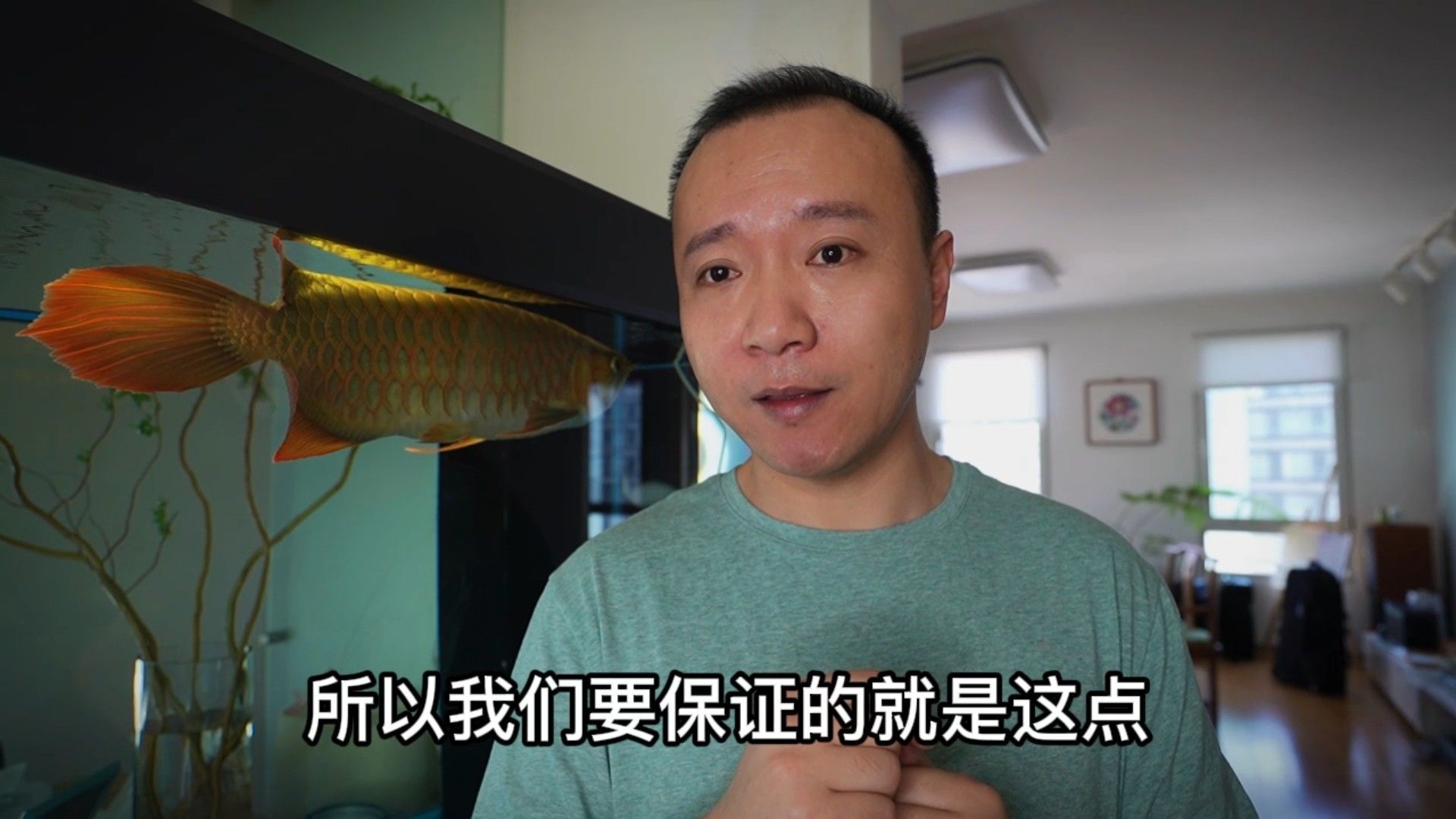 龍魚喂食時間安排：魚喂食時間安排是確保其健康和活力的關(guān)鍵