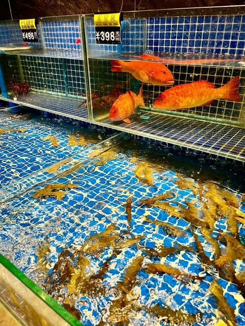 北京龍魚回收市場價格如何？：北京龍魚回收價格分析