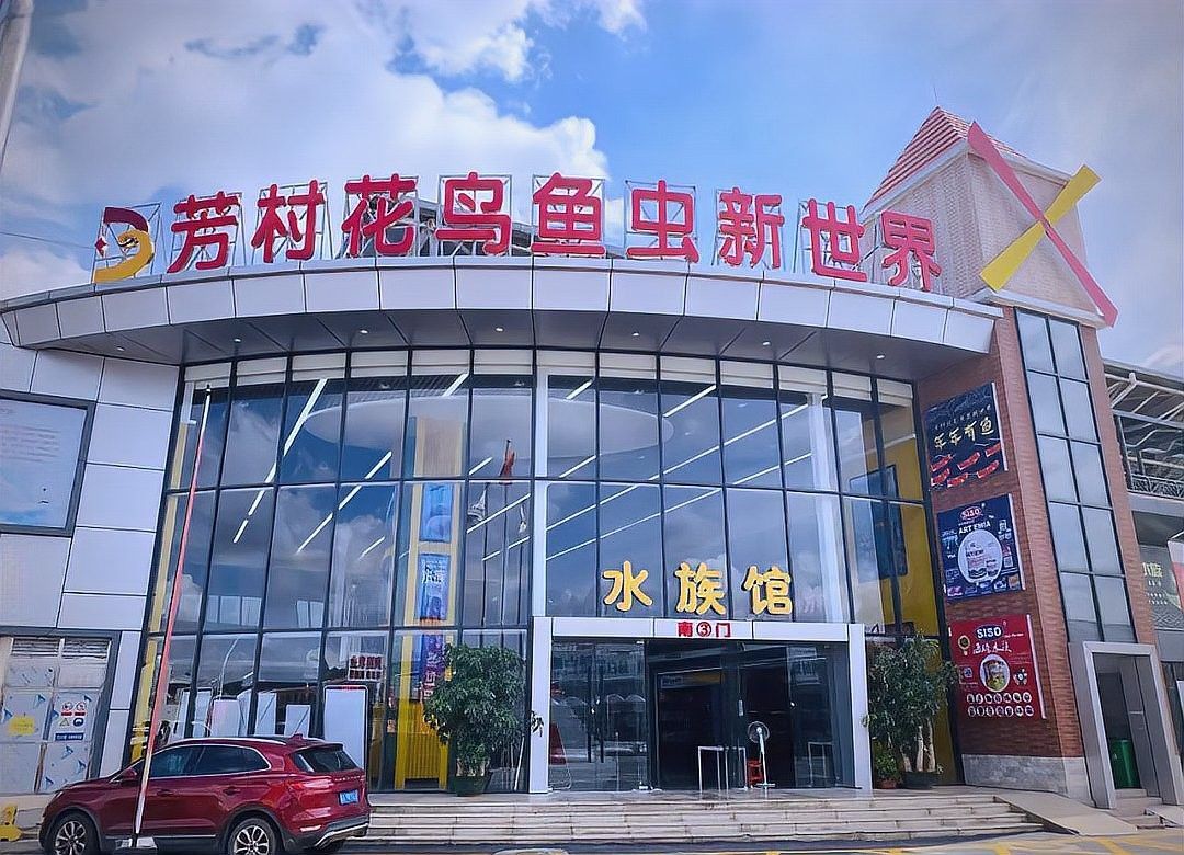 花地灣花鳥魚蟲市場搬遷后情況如何：花地灣花鳥魚蟲市場搬遷后有哪些公交線路直達(dá)芳村花鳥新世界