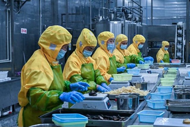 金龍魚預(yù)制菜業(yè)務(wù)的毛利率是多少？：金龍魚預(yù)制菜業(yè)務(wù)毛利率如何？