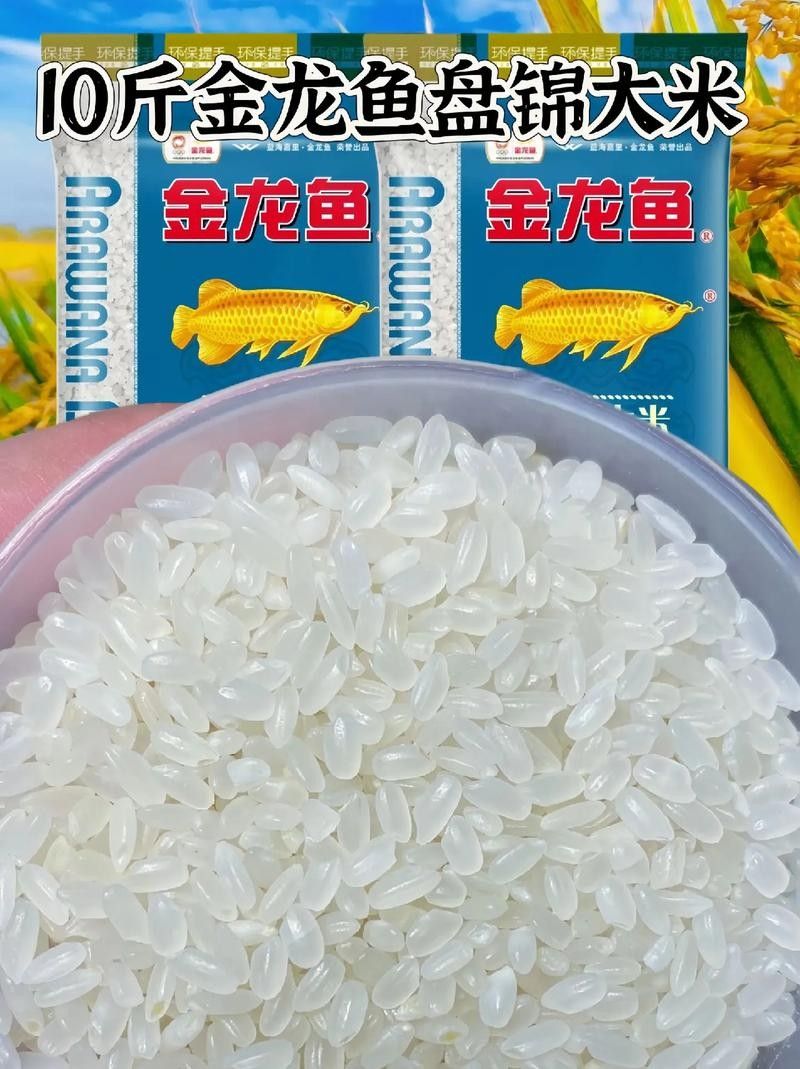 金龍魚廣西香米有哪些系列：金龍魚廣西香米系列
