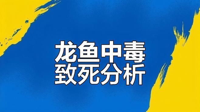 龍魚中毒有哪些癥狀：龍魚中毒的幾種表現