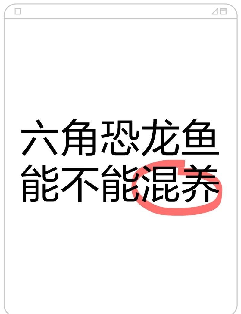 哪些恐龍魚可以混養(yǎng)？：恐龍魚可以混養(yǎng)嗎