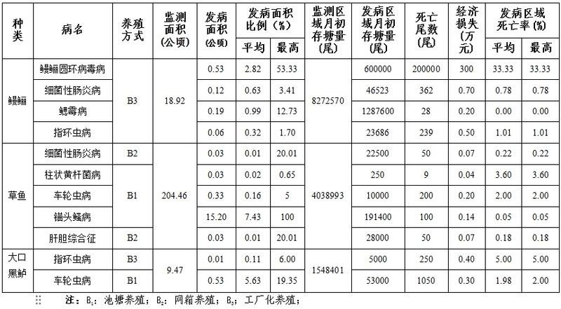 龍魚(yú)真菌病和寄生蟲(chóng)感染哪個(gè)更常見(jiàn)：如何區(qū)分龍魚(yú)真菌病和寄生蟲(chóng)感染？