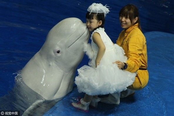 友誼哪個水族館龍魚好？祥龍魚場龍魚：友誼哪個水族館祥龍魚場龍魚