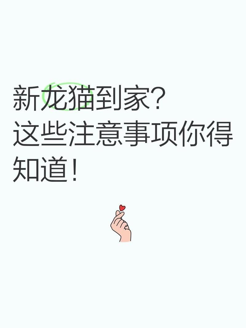 龍貓適應期一般多久：龍貓的適應期需要多久？