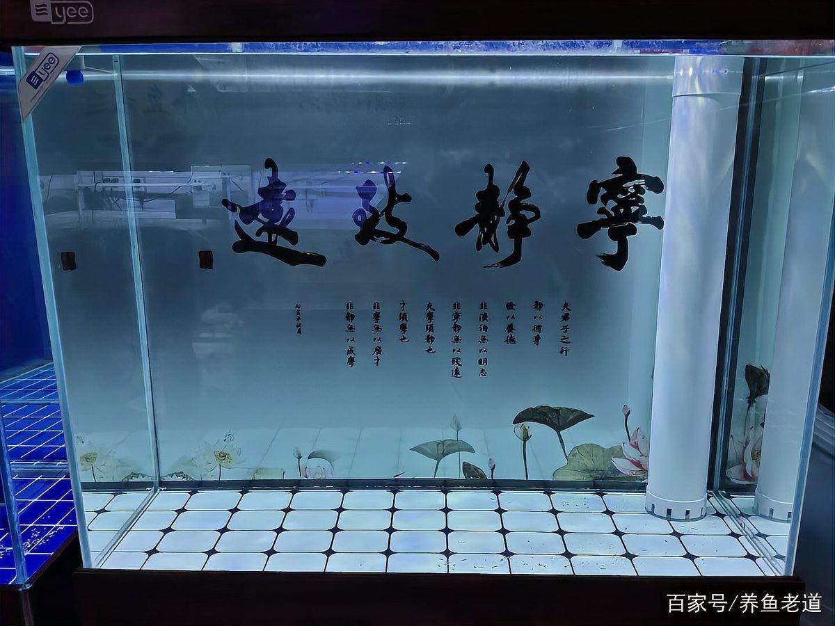 舊濾材如何移植到新缸？：養魚老道舊缸換新缸注意事項，舊濾材移植到新缸的步驟與注意事項