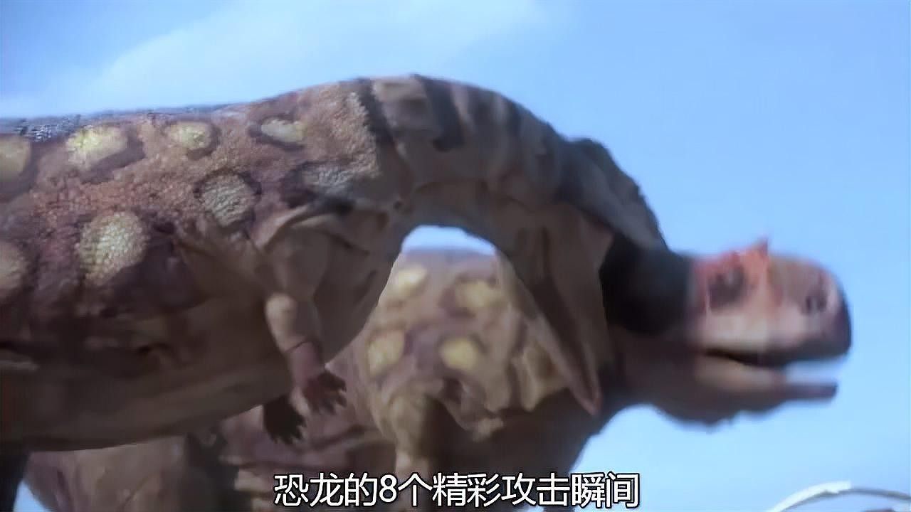 恐龍魚攻擊時有哪些聲音？：六角恐龍魚為什么會有“嗚帕魯帕”聲，六角恐龍魚的神秘叫聲