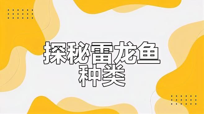 有哪些品種的雷龍魚(yú)比較膽??？：膽小的雷龍魚(yú)品種及飼養(yǎng)建議及飼養(yǎng)建議