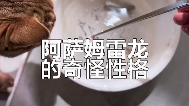 有哪些品種的雷龍魚(yú)比較膽??？：膽小的雷龍魚(yú)品種及飼養(yǎng)建議及飼養(yǎng)建議
