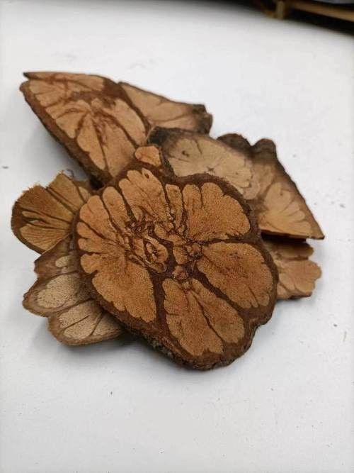 過江龍魚的市場(chǎng)價(jià)格是多少：宜昌市過江龍魚價(jià)格分析：過江龍魚價(jià)格差異顯著差異