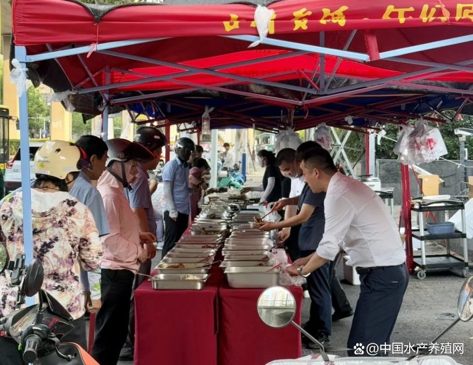 過江龍魚的市場(chǎng)價(jià)格是多少：宜昌市過江龍魚價(jià)格分析：過江龍魚價(jià)格差異顯著差異