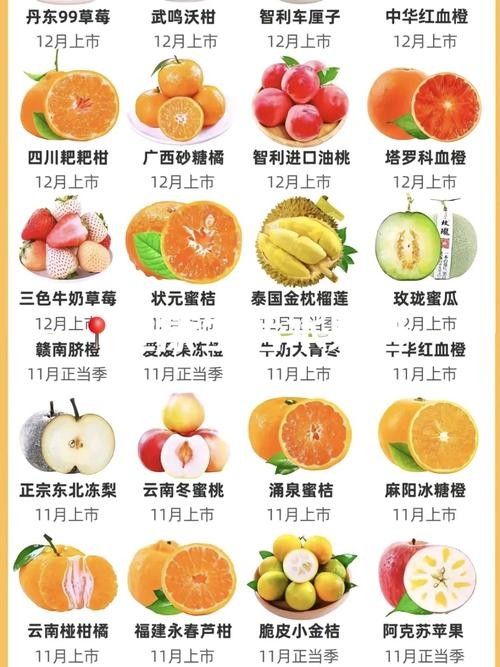 這些品種的價格差異大嗎？：不同品種的植物價格差異受多種因素影響植物價格差異及其影響因素
