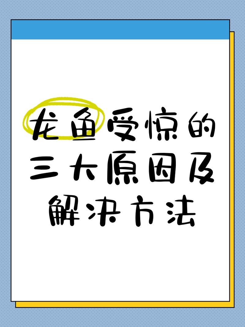 龍魚驚嚇后能喂食嗎：龍魚受到驚嚇了怎么辦 龍魚驚嚇后能喂食嗎：龍魚受到驚嚇了怎么辦 龍魚百科 第3張