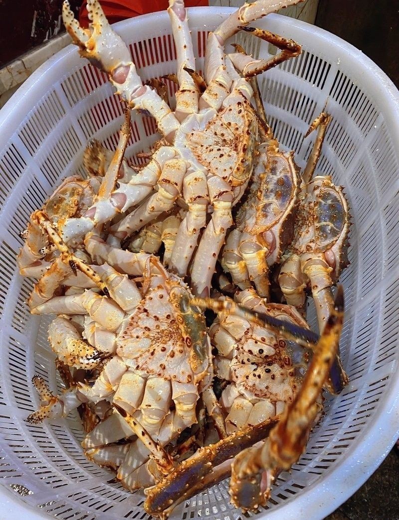 金龍魚批發市場的營業時間：金龍魚批發市場的營業時間是多久？