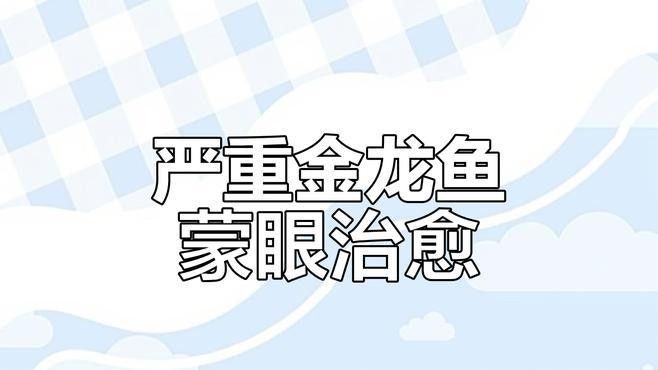 龍魚內(nèi)蒙眼最佳治療方法：龍魚內(nèi)蒙眼怎么辦