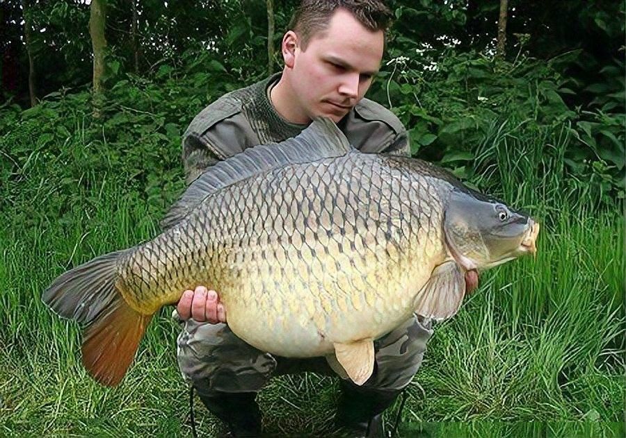 跨世界釣魚有限制嗎：跨世界釣魚受到的限制