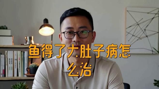 龍魚漲肚后如何護(hù)理？：暮暮充電站龍魚腸胃病,龍魚“翻肚”了怎么辦