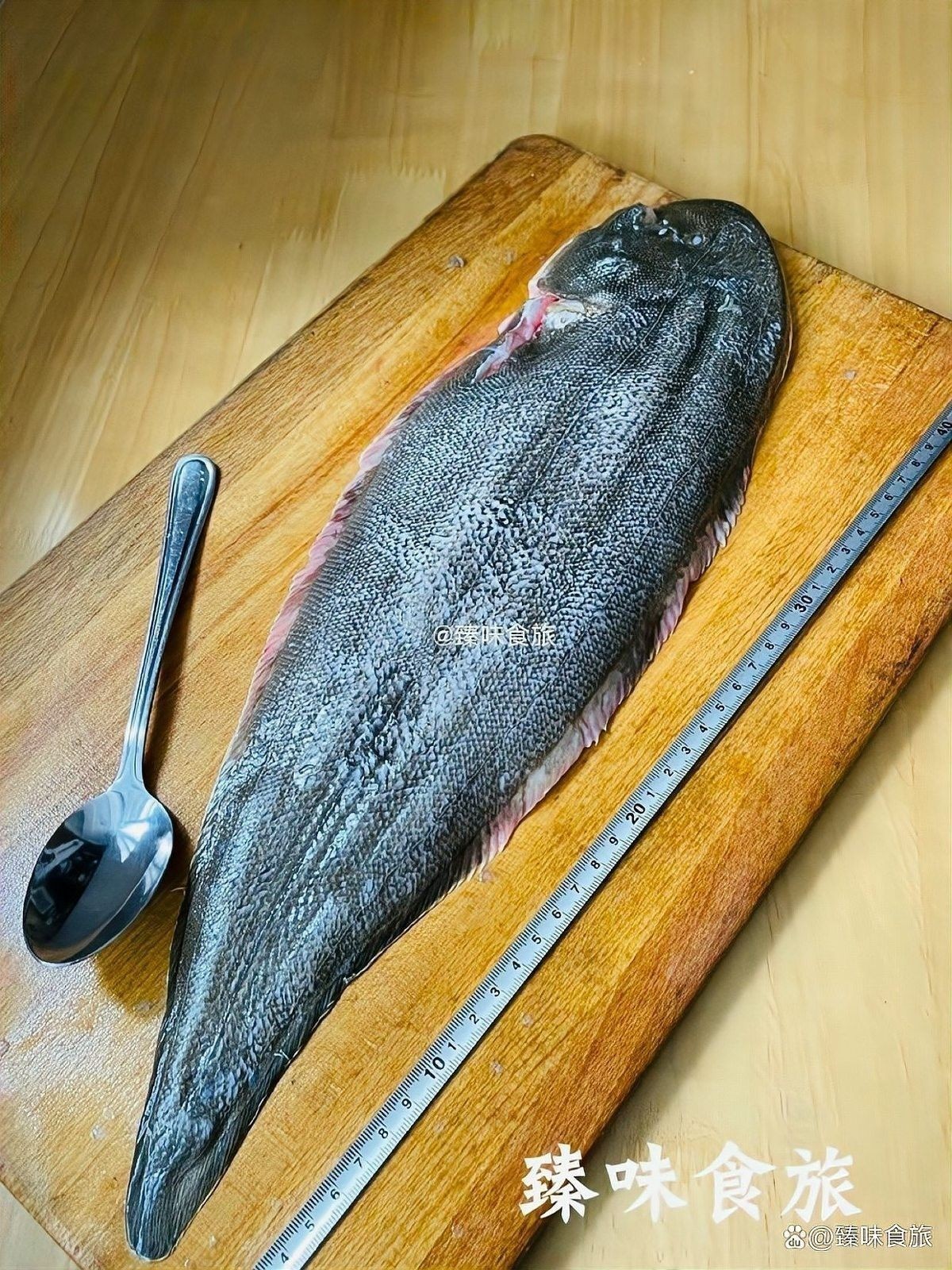潮汕龍魚的最佳烹飪時間：潮汕家常龍頭魚做法:龍利魚蒸制技巧鮮嫩不腥張媽健康餐飲