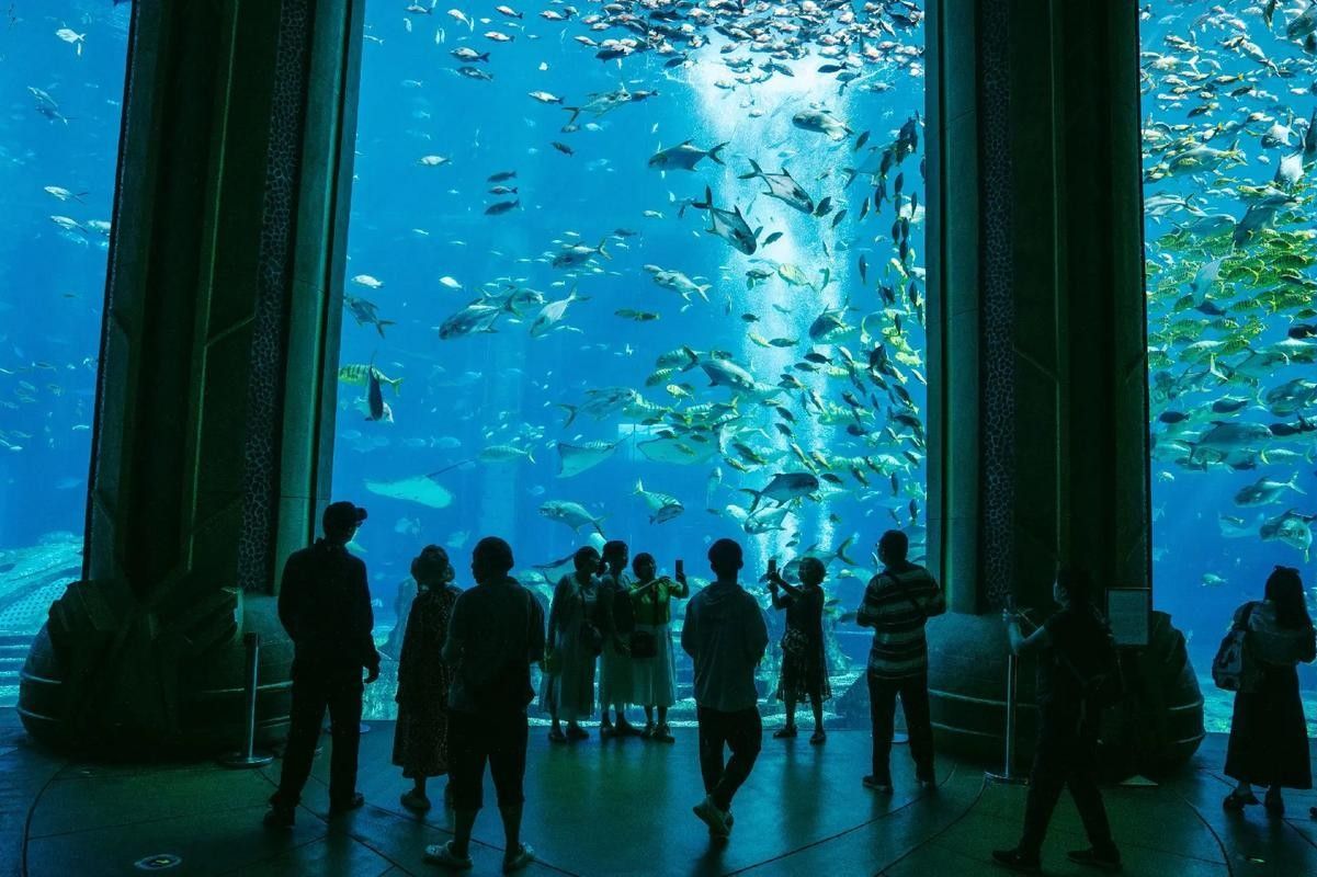 龍魚世家水族館是否真實存在：珠海龍魚世家水族館是否真實存在，龍魚世家水族館是否真實存在