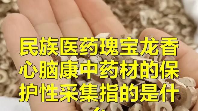 紅龍魚BTL有哪些稀有血統：紅龍魚的稀有血統