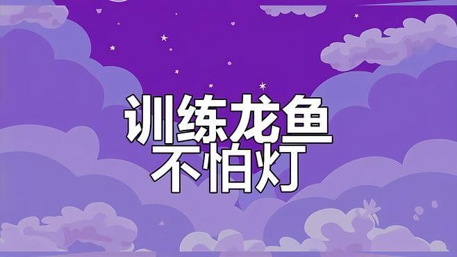 龍魚多久能適應新燈光？：——龍魚燈光對新燈光的使用方法