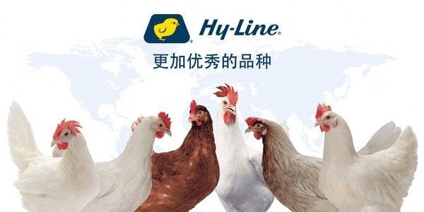 金龍魚養殖基地的智能化程度：金龍魚養殖基地的智能化程度體現在哪些方面？