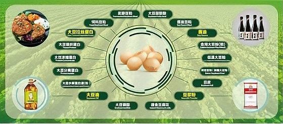 金龍魚養殖基地的智能化程度：金龍魚養殖基地的智能化程度體現在哪些方面？