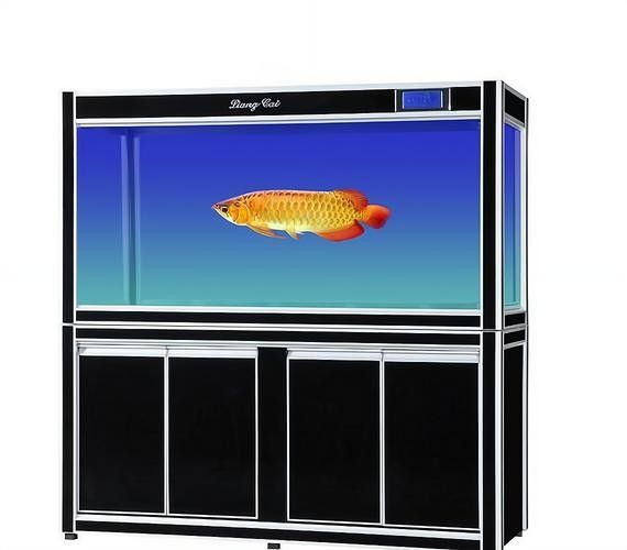 匯龍魚缸液晶屏有哪些型號：匯龍魚缸液晶屏哪個品牌性價比最高？
