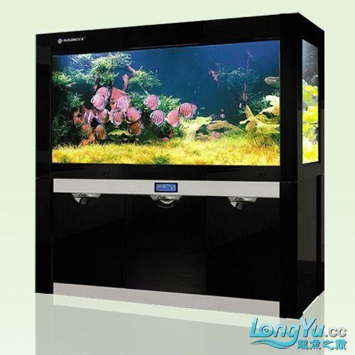 匯龍魚缸液晶屏有哪些型號：匯龍魚缸液晶屏哪個品牌性價比最高？