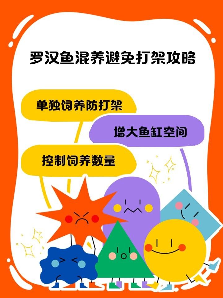 羅漢和金龍魚混養需要多長時間適應：羅漢魚與金龍魚混養的適應時間因個體差異而異