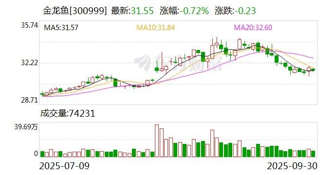 金龍魚如何持續(xù)引領(lǐng)行業(yè)變革？：金龍魚在國際市場的表現(xiàn)如何？