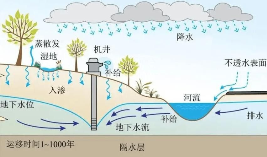 如何保持水質穩定：養魚經驗分享：如何保持水質穩定，在當今社會