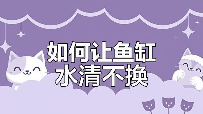 如何保持水質穩定：養魚經驗分享：如何保持水質穩定，在當今社會