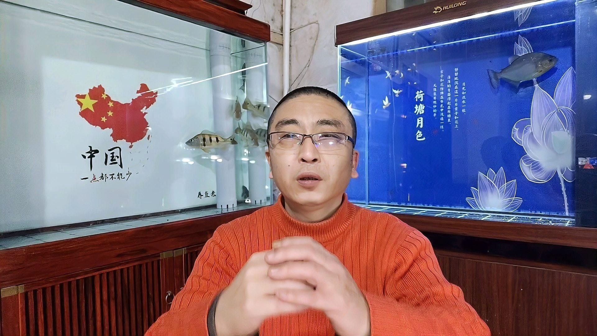 如何保持水質穩定：養魚經驗分享：如何保持水質穩定，在當今社會
