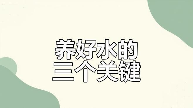 如何保持水質穩定：養魚經驗分享：如何保持水質穩定，在當今社會