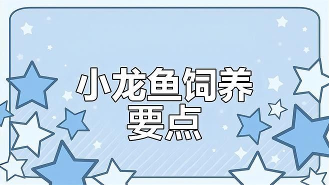 龍魚開口后如何保持食欲：新入缸的龍魚開口后如何保持食欲