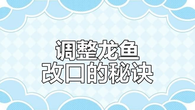 龍魚開口后如何保持食欲：新入缸的龍魚開口后如何保持食欲