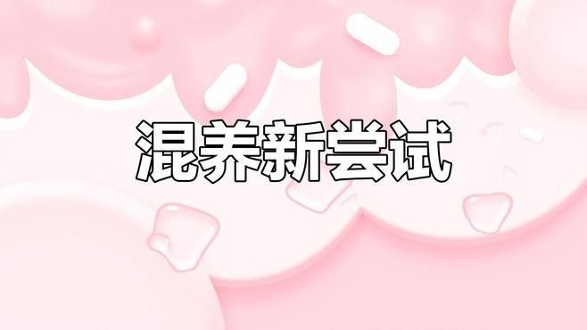 蝴蝶鯉和龍魚混養需要注意什么：蝴蝶鯉和龍魚混養的成功指南及禁忌解析追夢旅程