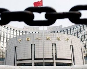 如何評估龍魚市場的流動性？：如何評估龍魚市場的流動性