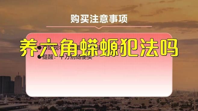 人工繁殖的六角恐龍魚如何合法購買：人工繁殖的六角恐龍魚
