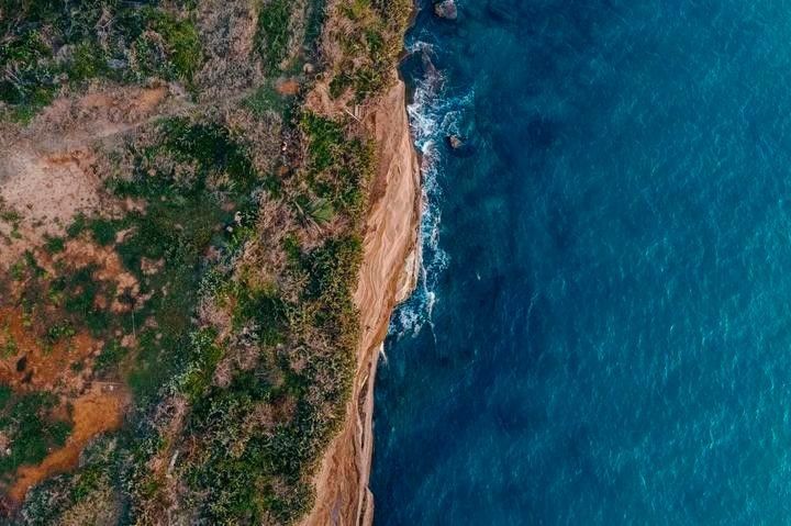 如何前往廣西金龍魚引種基地：關于廣西金龍魚引種基地的建議
